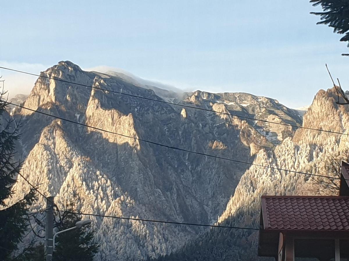 Mountain Break Azuga Ski 外观 照片